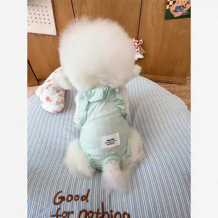 Dog physiological pants + Pads